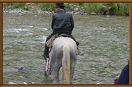 Cabalgatas r&iacute;o Manso - Argentina